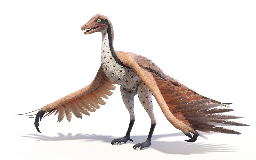 De Dinosaurios y otras aves